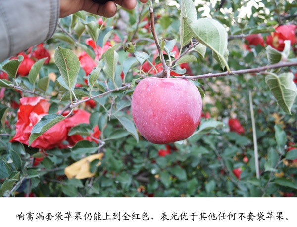 品种优势