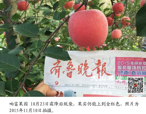 品种优势