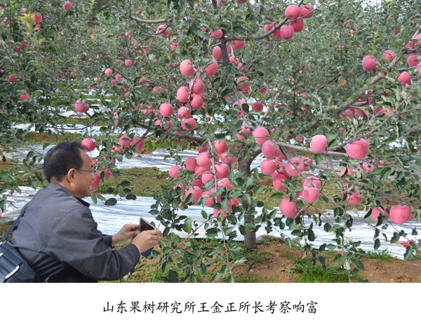 专家来访