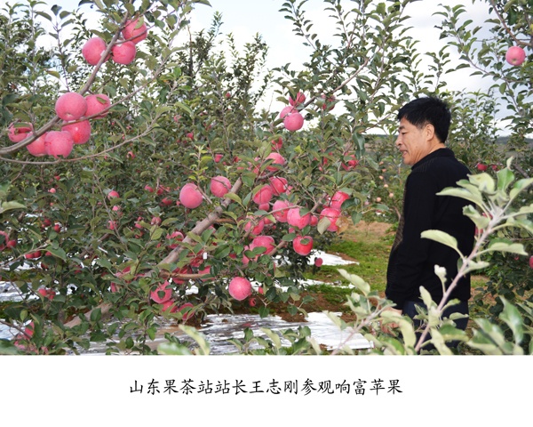 专家来访