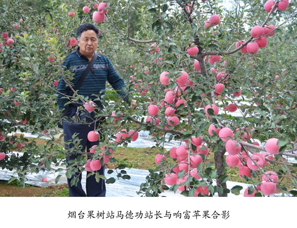 专家来访