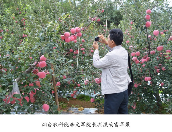 专家来访