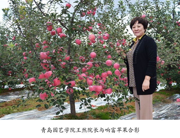 专家来访
